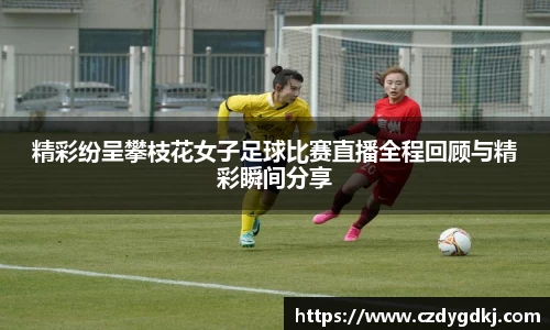 3377体育官网