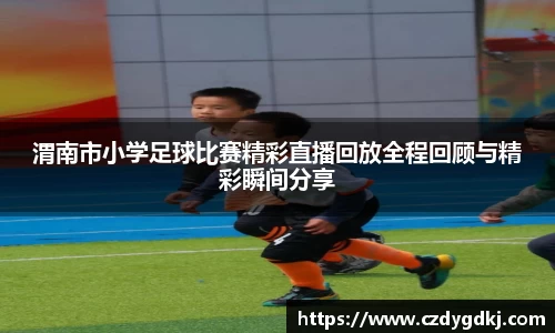 3377体育官网