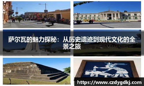 3377体育官网