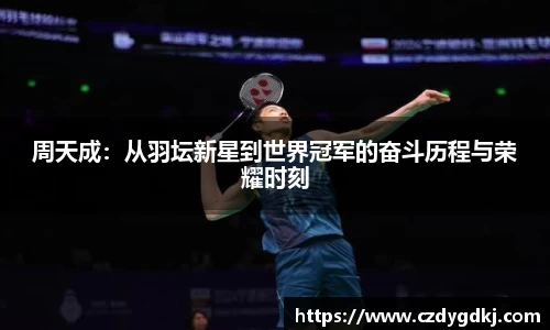 3377体育官网下载