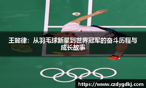 3377体育官网