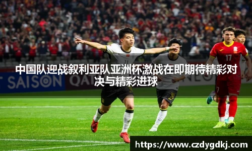 3377体育官网