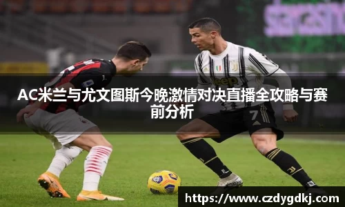 3377体育官网下载